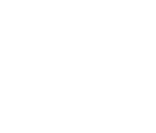 Polonia 1 PL